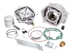 Zylinderkit Malossi MHR Replica 79ccm 50mm für D50B0, D50B1