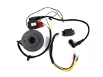 Zündungssatz 12V 70-80W 90mm für Kreidler Florett RS, RMC, RM, TM, LF, LH, Flory, Puch Monza, Cobra, Zündapp CS 50 Typ 448, GTS 529, 517, C Sport KS 530, Hai 25 WC TT