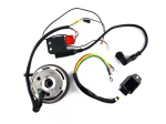 Zündungssatz 12V 70-80W 90mm für Kreidler Florett RS, RMC, RM, TM, LF, LH, Flory, Puch Monza, Cobra, Zündapp CS 50 Typ 448, GTS 529, 517, C Sport KS 530, Hai 25 WC TT