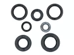 Wellendichtring Satz BAC mit Öldichtung für Yamaha FS1, DX