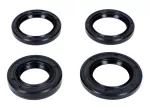 Wellendichtring Satz BAC mit Öldichtung für Yamaha FS1, DX