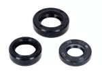 Wellendichtring Satz BAC mit Öldichtung für Yamaha FS1, DX