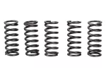 Kupplungsfedern Satz EBC verstärkt für Yamaha DT 50, DT 80, DT 125, RD 50, RD 80, RD 125, RD 200, FS 1, TDR 125