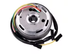Lichtmaschine / Zündung Umrüstkit Elektronik Kontaktlos 12V rechtsdrehend für Puch Maxi E50, Hercules Prima GT, Sachs RS 50 506 Motor