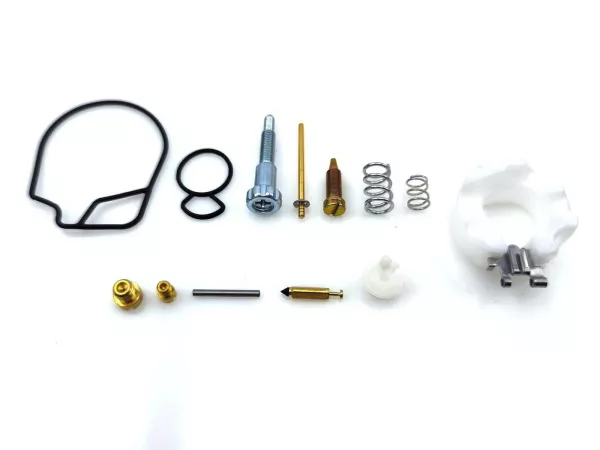Reparatursatz 14-teilig für Dellorto PHVA Vergaser 12 - 17,5mm für Piaggio, Garelli, Puch, Tomos Mofa