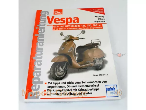 Technische Anleitung für Piaggio GTS, Piaggio GTV