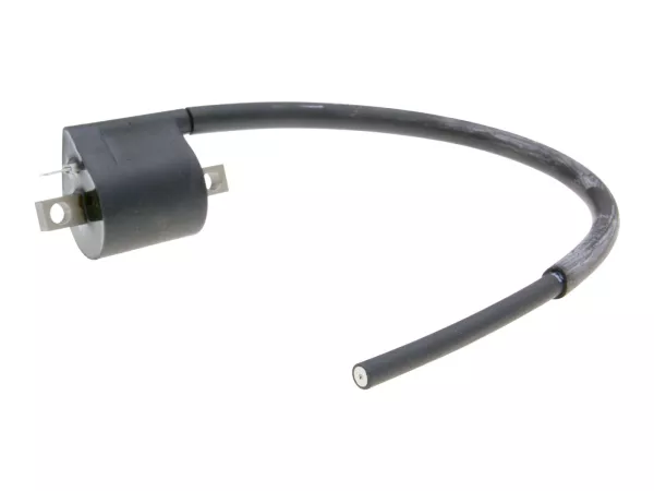 Zündspule Polini digital für Piaggio LC, Minarelli AC, LC, AM6, Derbi D50B0, EBE, EBS, Vespa 125 ET3