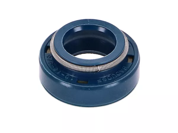 Wellendichtring Wasserpumpe Top Performances D10x18x5/8 für Minarelli AM