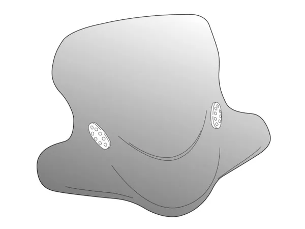 Windschild Puig City Touring smoke universal