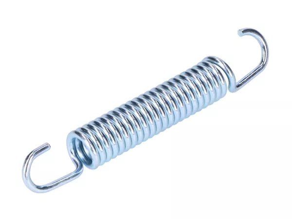 Feder Auspuff Turbo Kit gedämpft 66mm