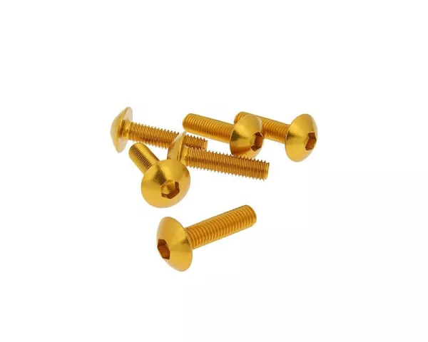 Schraubensatz 6 Stück Verkleidung gold - M5x20