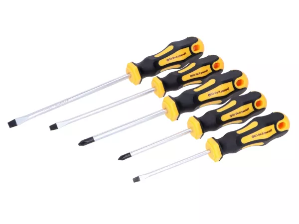 Schraubendreher Satz 5-teilig universal